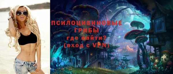 дмт Каменск-Шахтинский