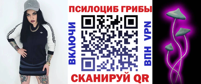 что такое Юрга Галлюциногенные грибы Magic Shrooms